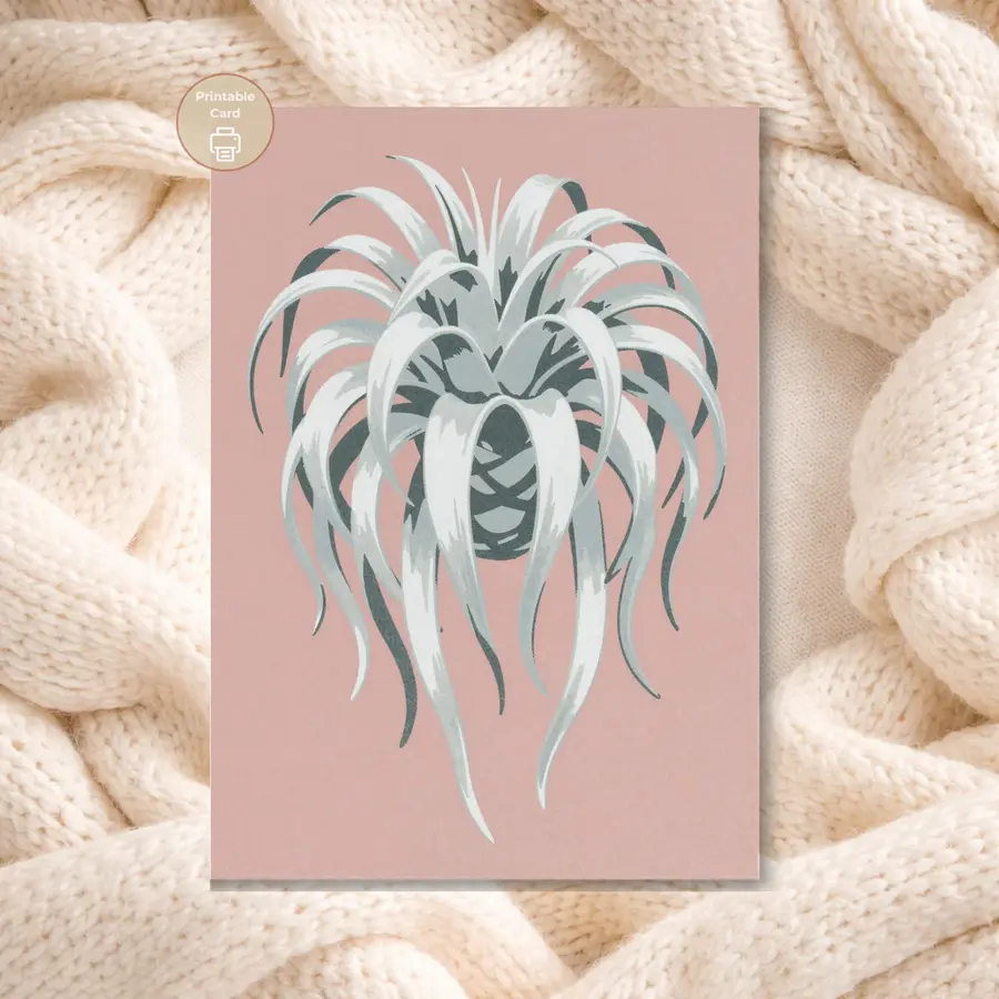Styled product mockup: A minimalist printable airplant xerographica card for plant lovers, housewarming moments, and thoughtful everyday notes.